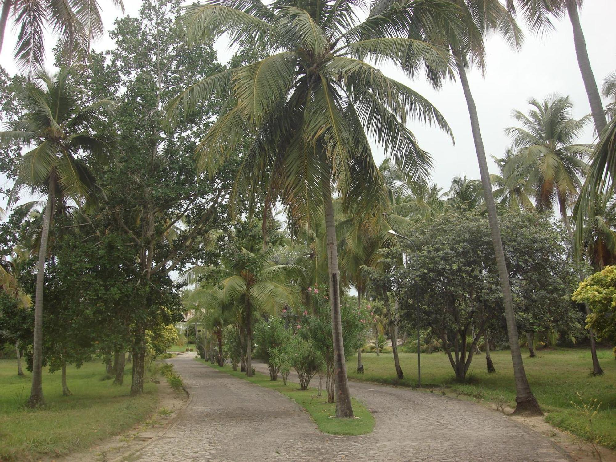 Hotel D'Anatureza Maceió Zewnętrze zdjęcie