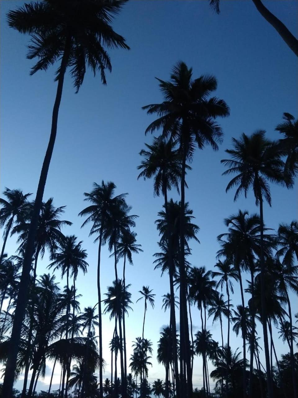 Hotel D'Anatureza Maceió Zewnętrze zdjęcie